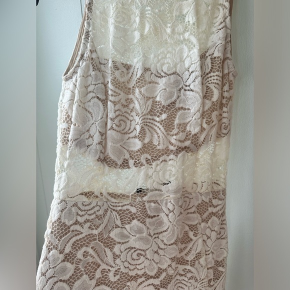 Cameo Nude Lace Dress - Picture 4 of 9